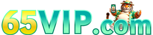 65VIP.COM